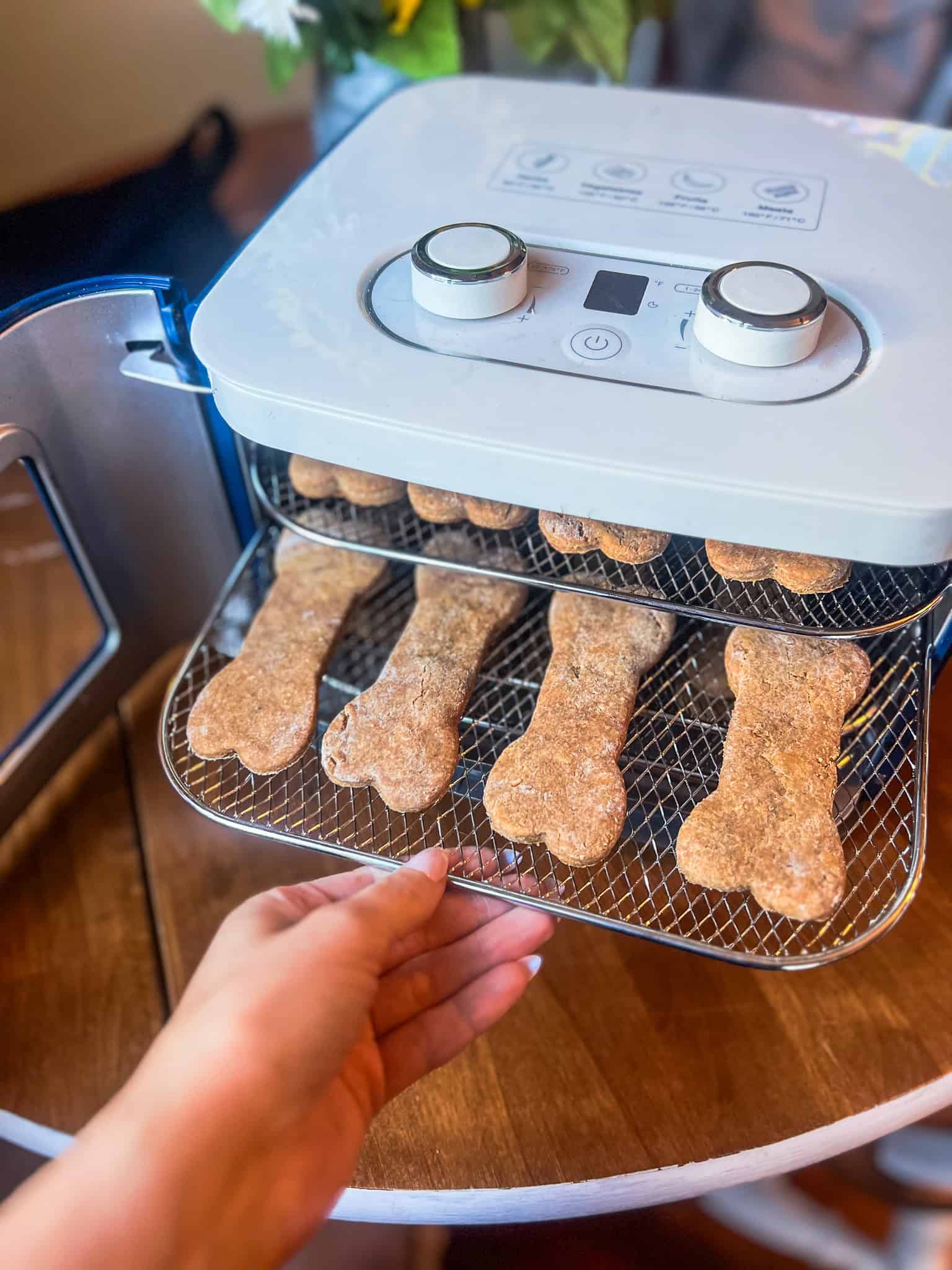 Read more about the article Dehydrated Dog Treats