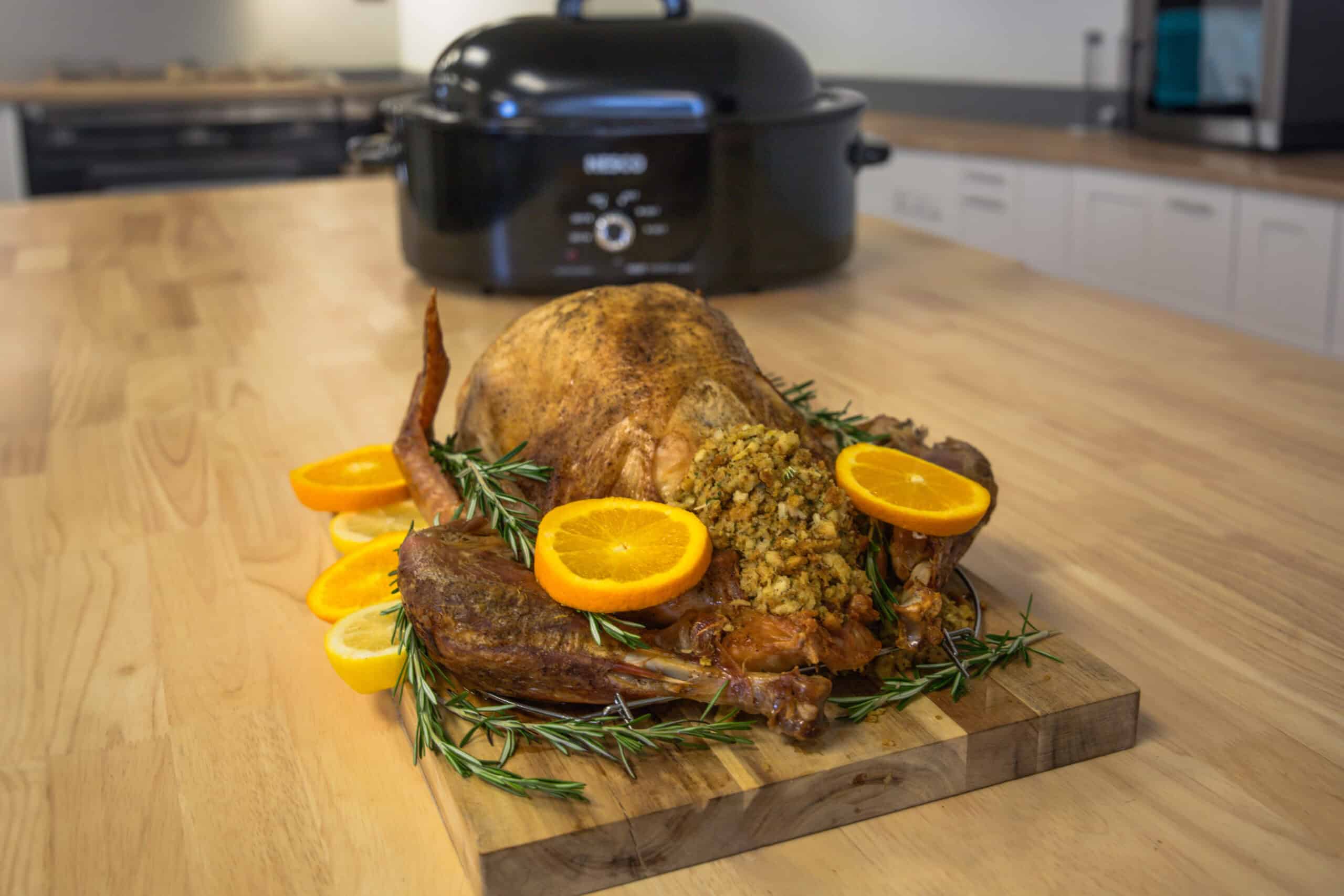Read more about the article Roaster Oven Thanksgiving Turkey
