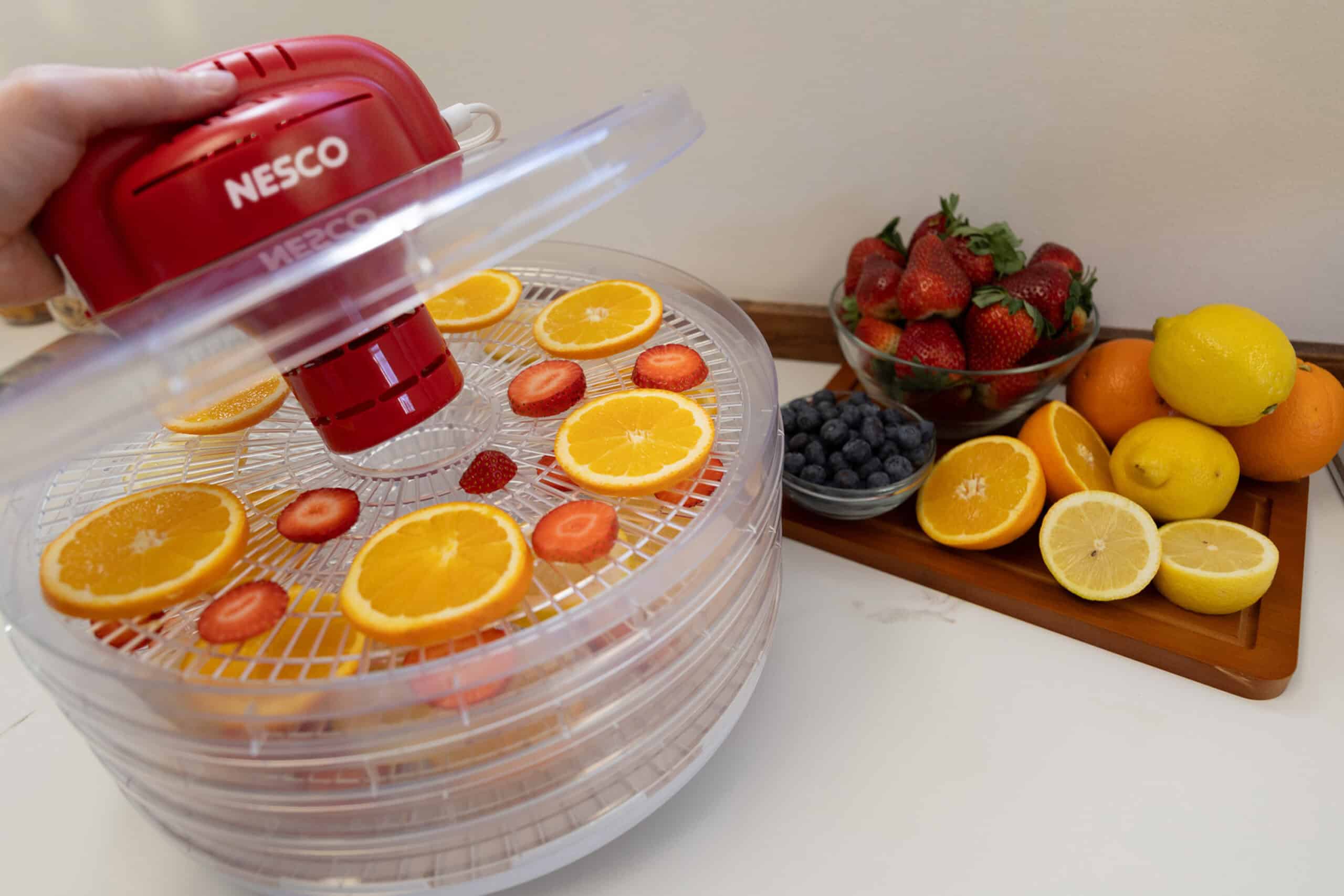 4-Tray Fixed Temperature Food Dehydrator FD-28CW - Image 3