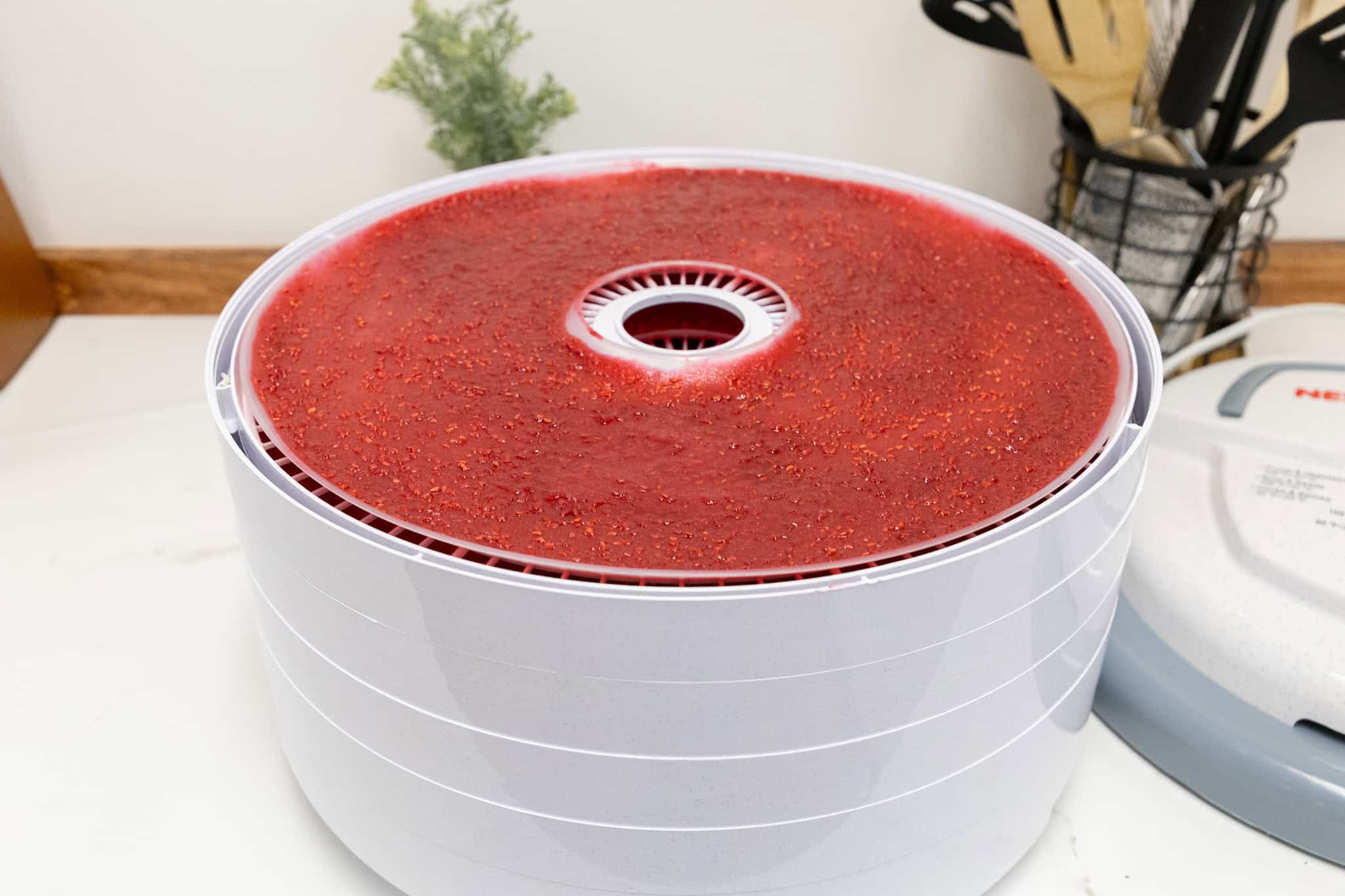 Read more about the article Dehydrated Raspberry Fruit Roll Ups