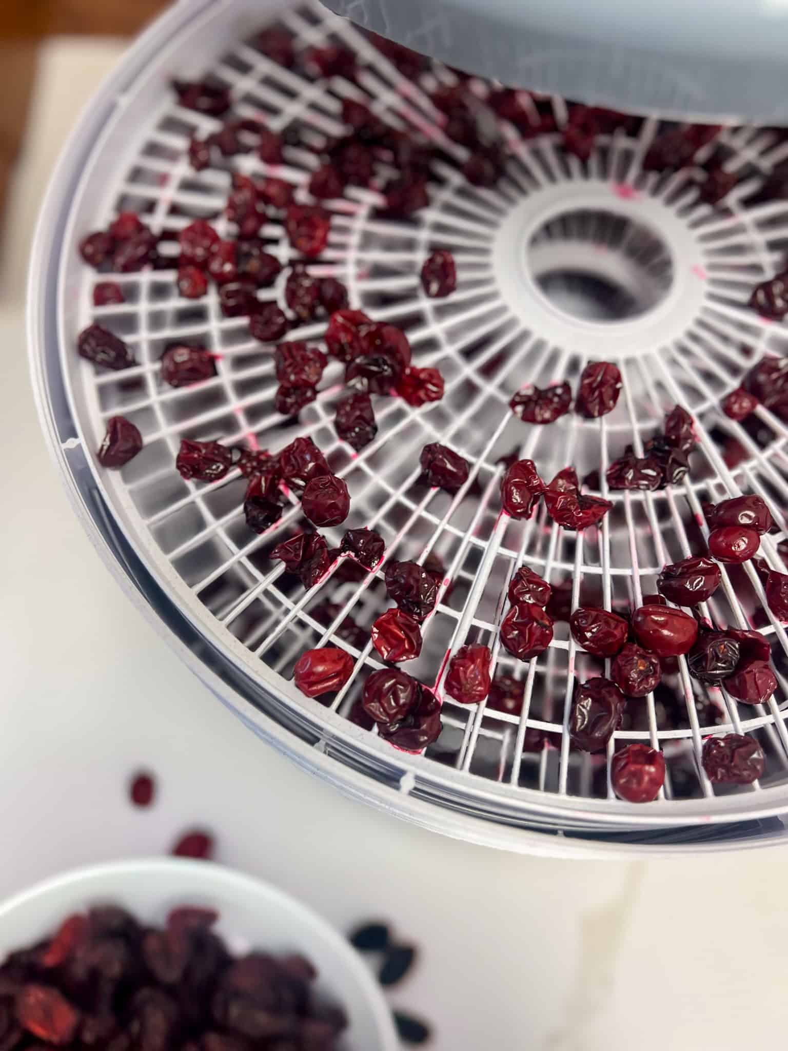 Read more about the article Dehydrated Cranberries